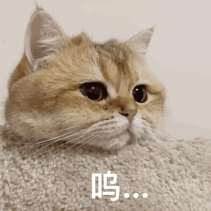 天灬灬啊灬快灬高潮了
